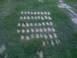 What you can learn from “divots”