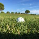 Go Back to Your Basic Fundamentals